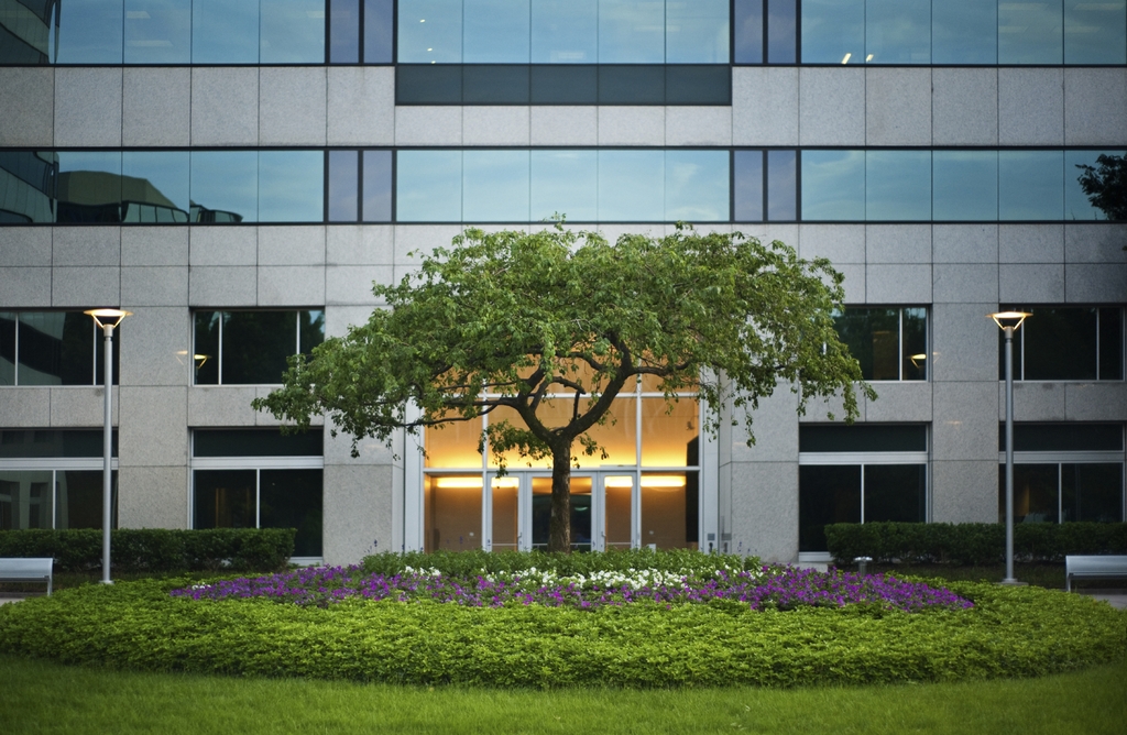 commercial-landscaping-1